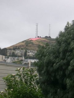 Twin Peaks pink triangle for Pride