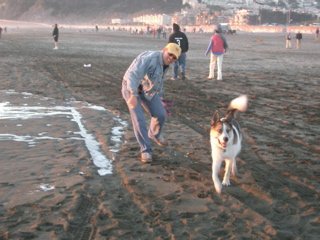 Playing on the Beach